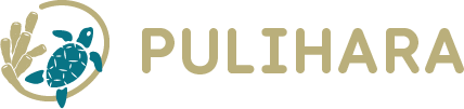 horizontal logo of PULIHARA - a green sea turtle surrounded by golden coral