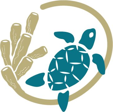 square logo of PULIHARA - a green sea turtle surrounded by golden coral on a transparent background